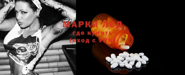стафф Аркадак