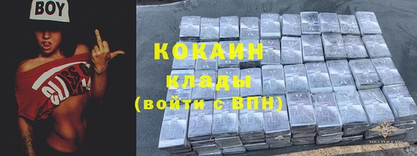 стафф Аркадак